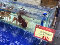 水产区-东江海鲜酒家(艺都分店)
