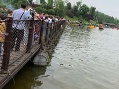 -枫香湖儿童公园