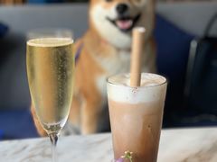 起泡酒-the rug 飞毯 (朝阳公园店)