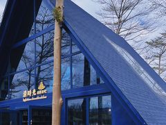 -森波拉奇妙世界