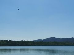 -佛手湖郊野公园