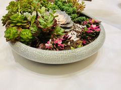 -粗茶淡饭·汉口公馆(循礼门店)