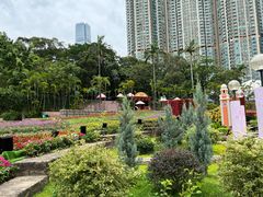 -九龙公园