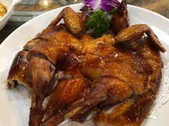 栋笃鸡-绿雅居原生态农庄(小涌店)