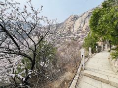 -北京凤凰岭