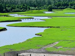 -溱湖国家湿地公园