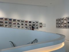 -罗红摄影艺术馆