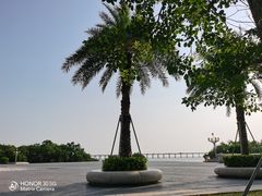 -宝安西湾红树林湿地公园
