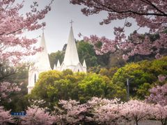 -团城山公园