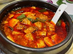 -陈麻婆豆腐总店
