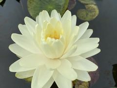 -杭州植物园