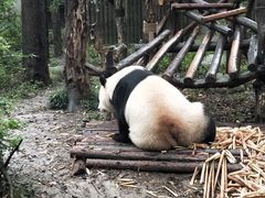 -聂荣臻元帅陈列馆