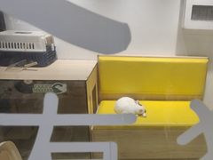 -废柴猫概念馆·桌游电玩卡牌(人广世茂店)