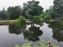 -良渚古城遗址公园