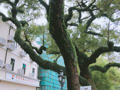 -杭州香格里拉饭店