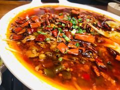 -庆合府重庆大排档(紫都城店)