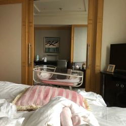 -大美母婴月子专护中心(紫峰店)