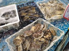 -天鲜阁·海鲜粤菜·33年老字号(石槎白云站店)