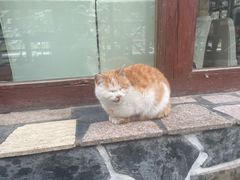 -北京水岸山吧度假村(雁栖镇店)