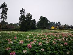 -保利石象湖景区