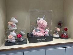 -ROSEONLY诺誓(磐基中心店)