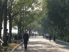 -南宁南湖公园
