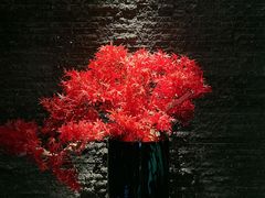-江南足纪·影院足道·轻奢SPA(京基水贝店)