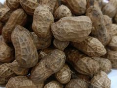 -烧哥美蛙肥肠鱼火锅·十五年社区店