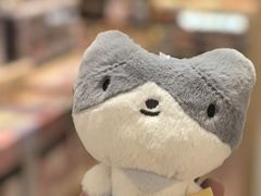 -猫的天空之城概念书店(大学路店)