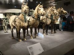 -秦始皇帝陵博物院-丽山园