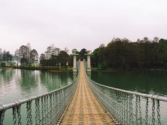 -东湖落雁景区