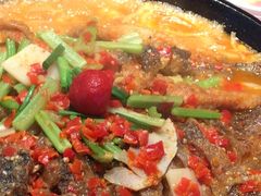 -老板恋上鱼(恒隆广场店)