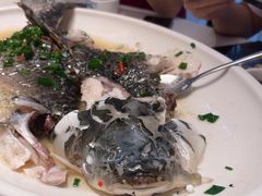 -陶缘一号·四季缘·老字号顺德菜·户外婚礼家宴(西滘店)