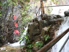-牛鱼嘴原始生态风景区