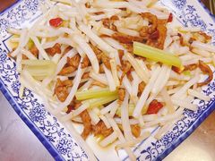 毛草根炒肉丝-老味道1992(武当山店)