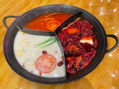 -朱光玉火锅馆(龙阳广场店)