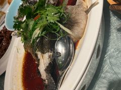 笋壳鱼-新雅(丰盛里店)