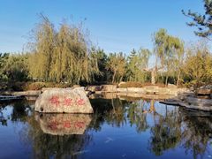 -羊亭河湿地公园