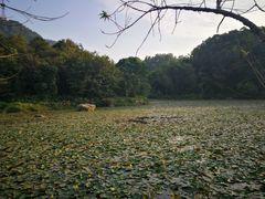-大雁山风景区