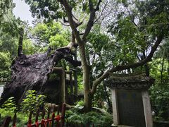 -台州府城(江南长城)
