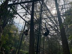 -扬州市茱萸湾风景区
