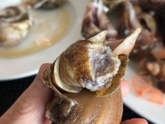 -圣丰索菲特·2 On 988 Café 自助餐厅