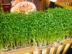 -如一鸡鲍鱼·粤式煲汤(长泰广场店)