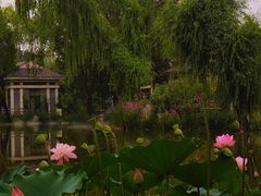-郑州植物园