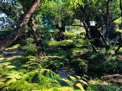 -Chom Cafe and Restaurant