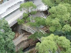 -香港大学