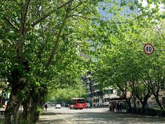 -成都市活水公园