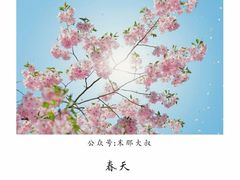 -东财大盘鸡(黑石礁店)