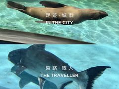 -常州海昌海洋探索馆