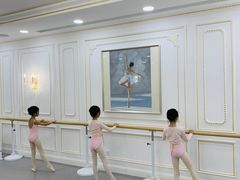 -芭蕾仙子 FairyBallet 少儿芭蕾舞蹈中心(丽都旗舰店)